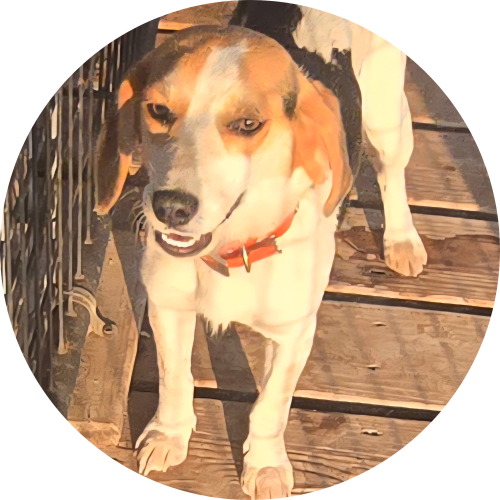 X’CALIBER’S “Cry Baby”